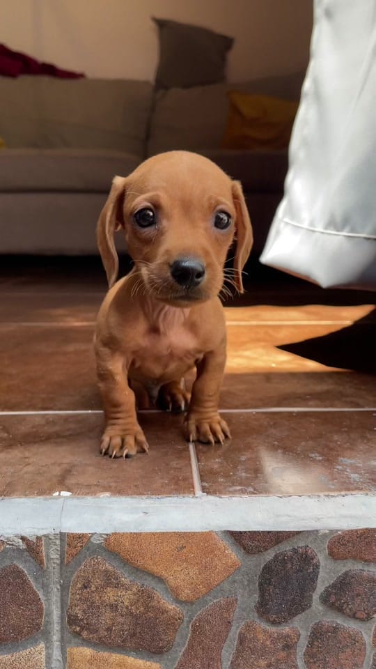 Post 10 by Meli Garcia on TikTok (video)