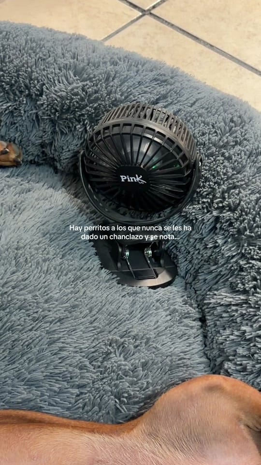 Post 5 by Meli Garcia on TikTok (video)