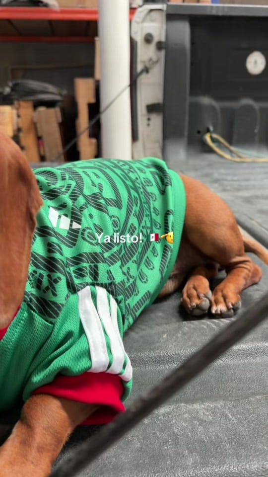 Post 2 by Meli Garcia on TikTok (video)