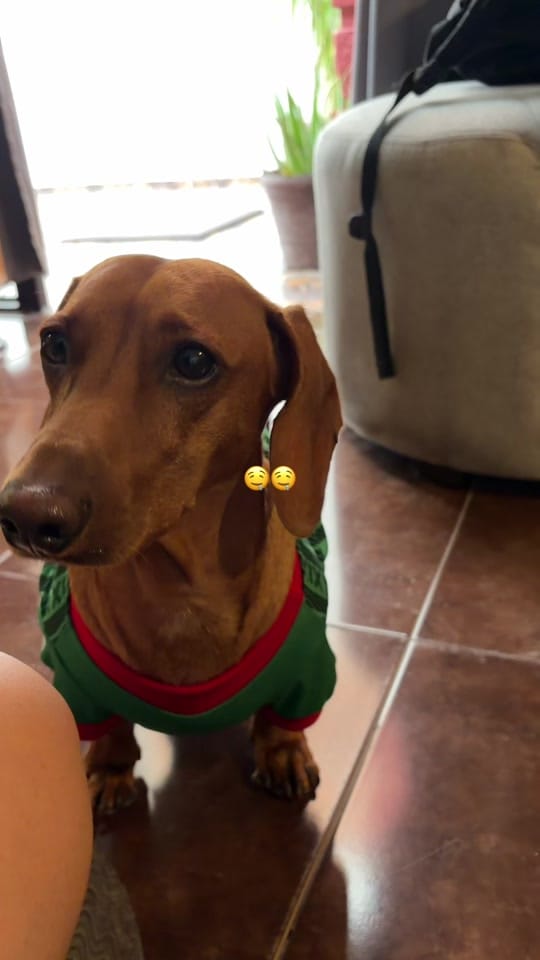 Post 1 by Meli Garcia on TikTok (video)
