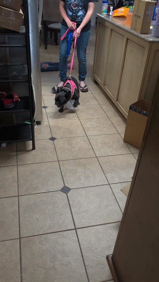 Post 4 by Justin Cooper--"The Pun-isher" on TikTok (video)
