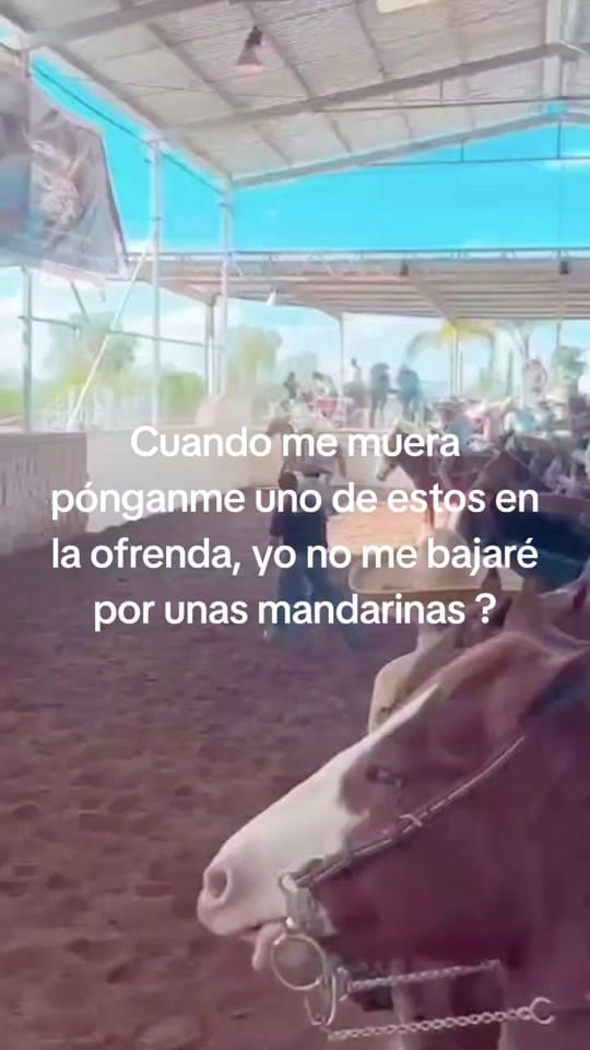 Post 1 by Charro_Fino on TikTok (video)