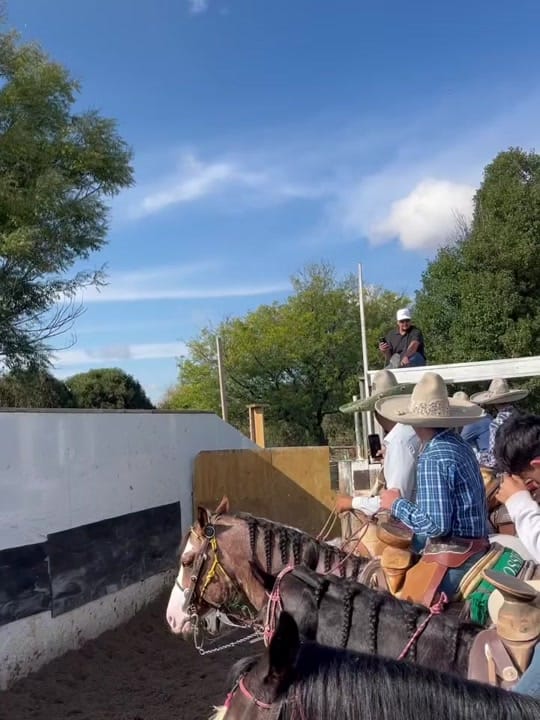 Post 2 by Charro_Fino on TikTok (video)