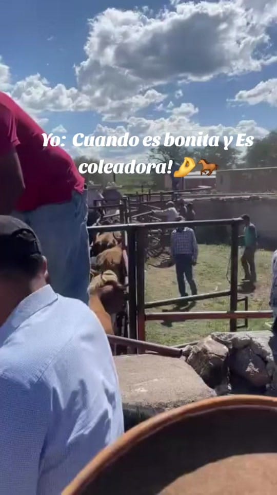 Post 10 by Charro_Fino on TikTok (video)
