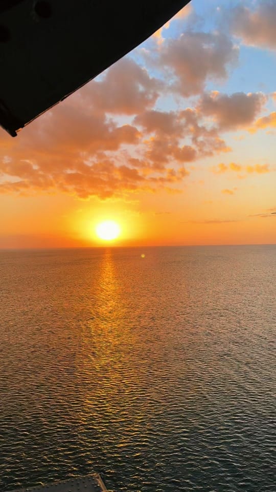 Post 1 by BBC_B4RTH0L0M3W on TikTok (video)