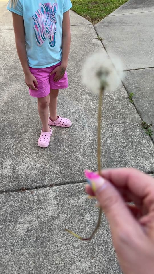 Post 5 by Brittany Tilley on TikTok (video)