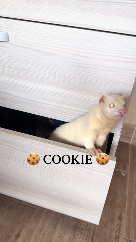 Post 8 by Doris Mi on TikTok (video)
