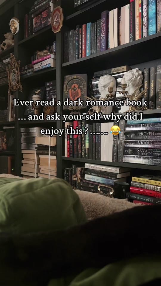 Post 1 by brittanyandbooks5 on TikTok (video)