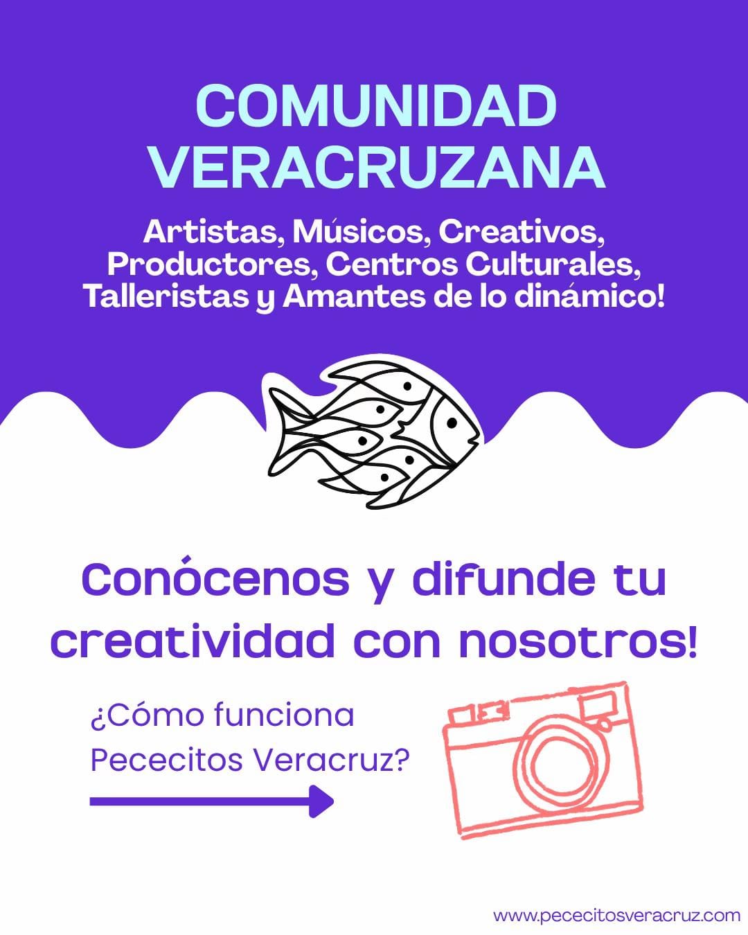 Post 2 by pececitos.veracruz on TikTok (video)