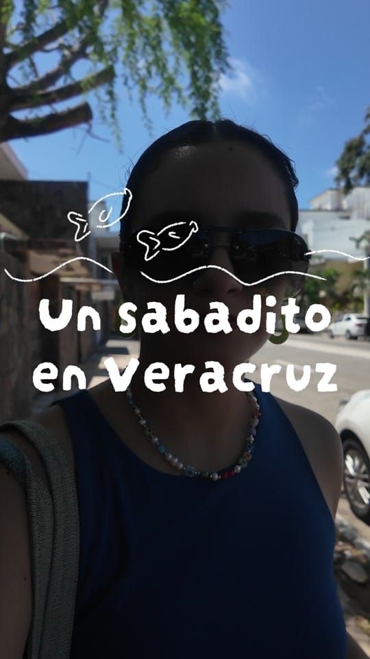 Post 6 by pececitos.veracruz on TikTok (video)
