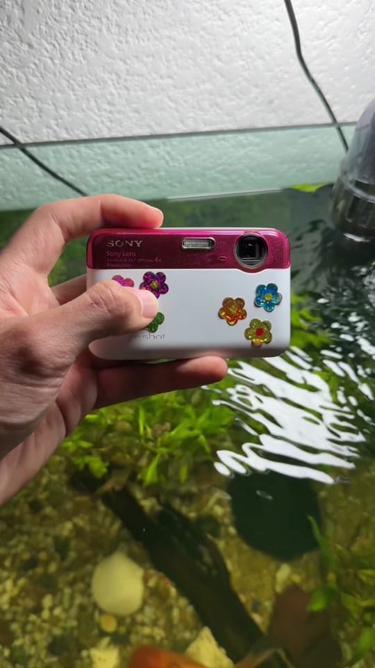 Post 3 by gonzalo.garciamx on TikTok (video)
