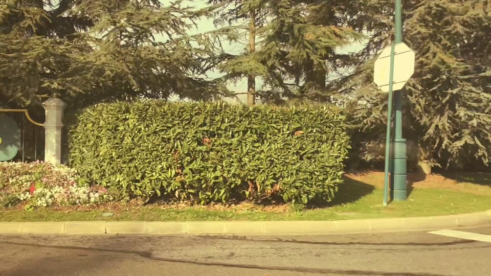 Post 8 by Lilly Belle on TikTok (video)