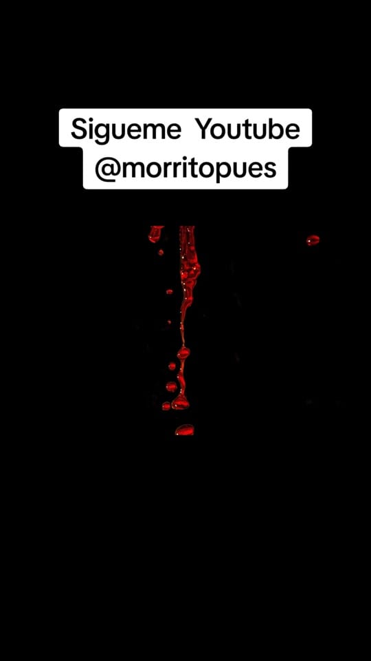 Post 8 by morritopues on TikTok (video)
