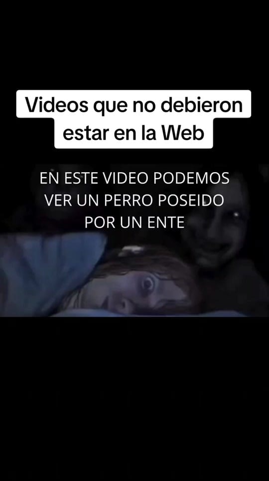 Post 6 by morritopues on TikTok (video)