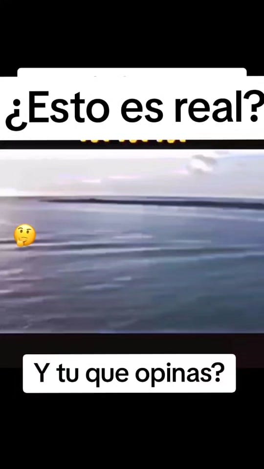 Post 3 by morritopues on TikTok (video)