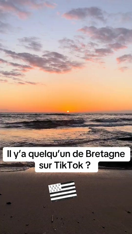 Post 1 by Quizz Bretagne on TikTok (video)