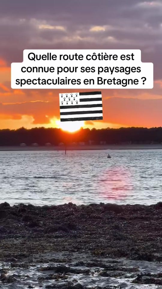 Post 4 by Quizz Bretagne on TikTok (video)