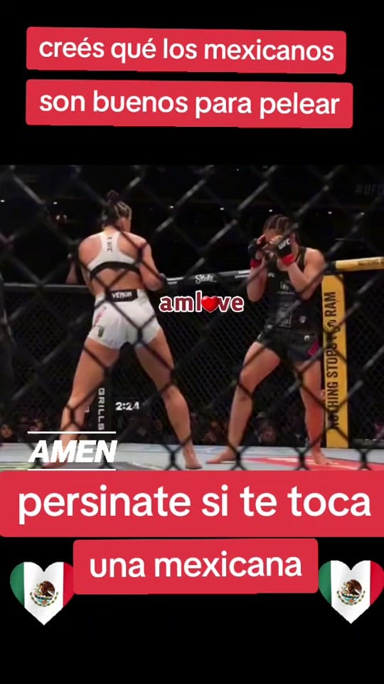 Post 5 by amlover on TikTok (video)