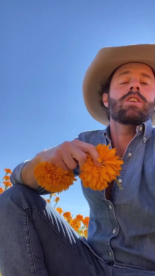 Post 8 by Julio Uribe Curn on TikTok (video)
