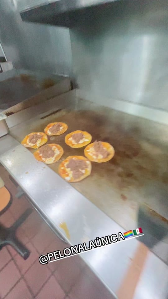 Post 5 by ELEMBAJADORDELPERICOOFICIAL on TikTok (video)