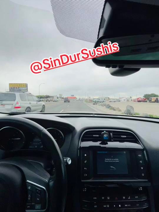 Post 4 by ELEMBAJADORDELPERICOOFICIAL on TikTok (video)