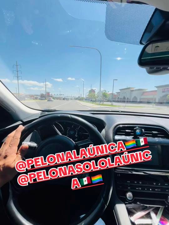 Post 10 by ELEMBAJADORDELPERICOOFICIAL on TikTok (video)