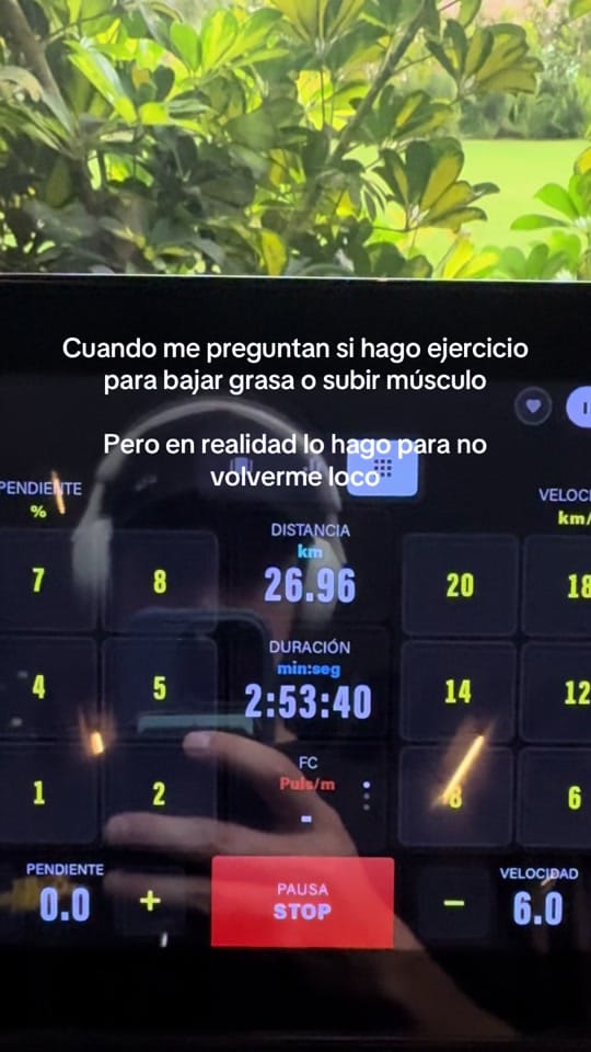 Post 1 by Luispe Reyes on TikTok (video)