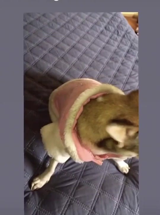 Post 10 by jesusleonf on TikTok (video)