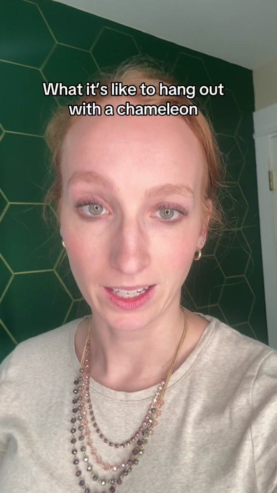 Post 8 by Neptune the Chameleon on TikTok (video)