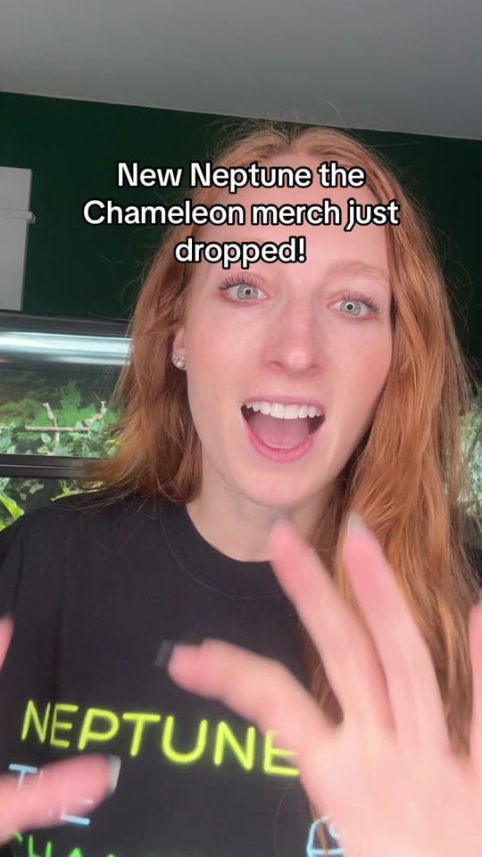 Post 7 by Neptune the Chameleon on TikTok (video)