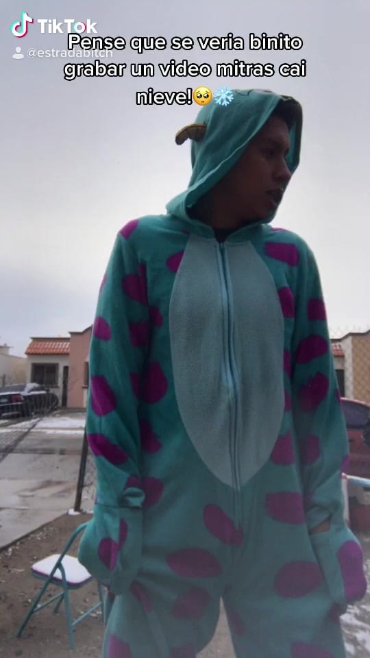Post 5 by Luis on TikTok (video)