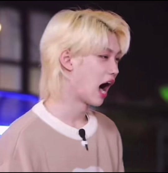 Post 8 by hyunlixforever on TikTok (video)