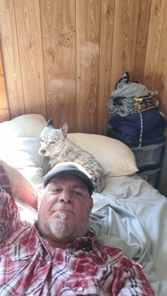 Post 7 by Robert Dolan on TikTok (video)