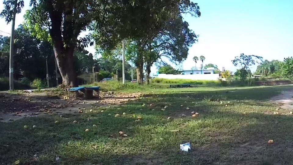Post 1 by Claudio Ambrocio on TikTok (video)