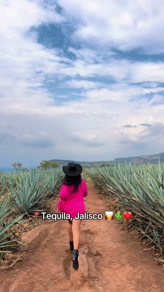 Post 5 by _danielikald on TikTok (video)