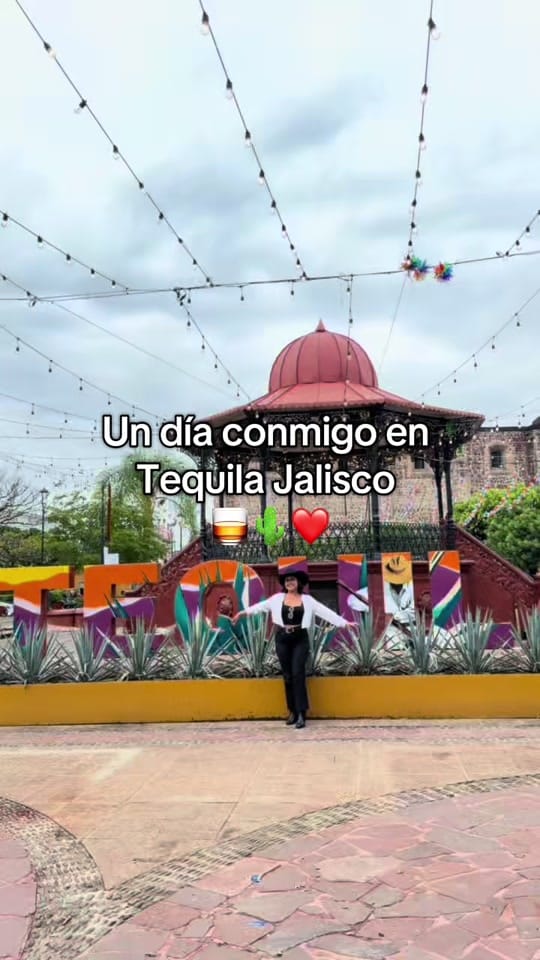 Post 7 by _danielikald on TikTok (video)