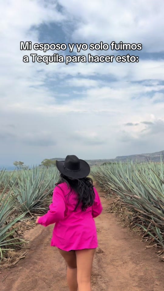 Post 6 by _danielikald on TikTok (video)