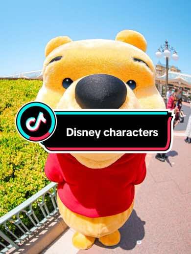 Post 8 by disneylanddparissvideos on TikTok (video)