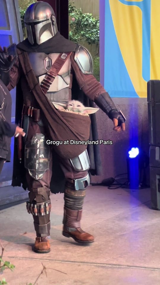 Post 7 by disneylanddparissvideos on TikTok (video)