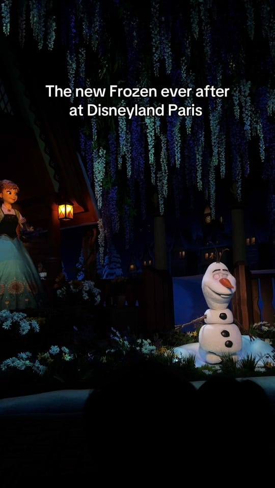 Post 1 by disneylanddparissvideos on TikTok (video)