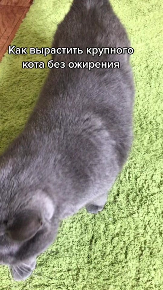 Post 10 by Alena_pm on TikTok (video)