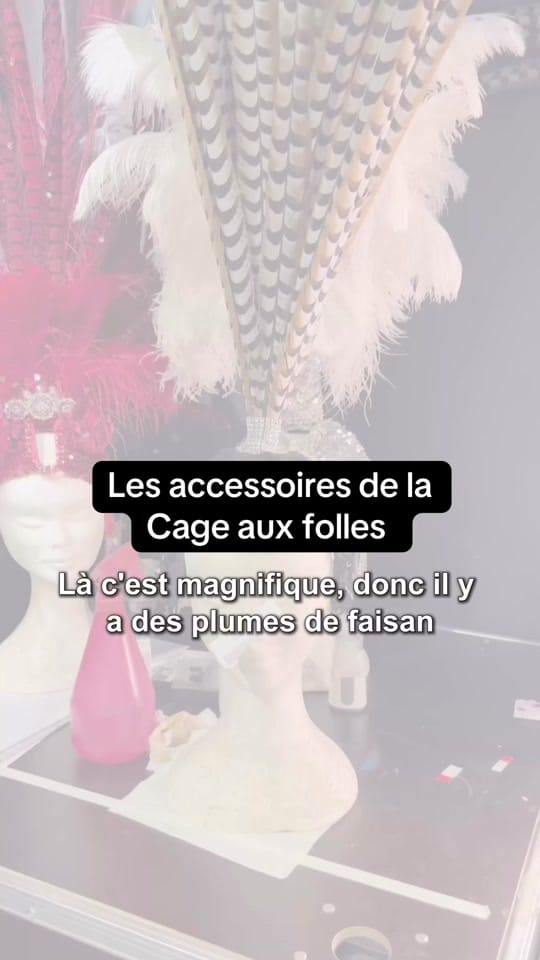 Post 9 by Théâtre du Châtelet on TikTok (video)
