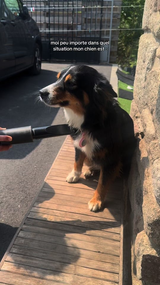 Post 8 by cloé on TikTok (video)