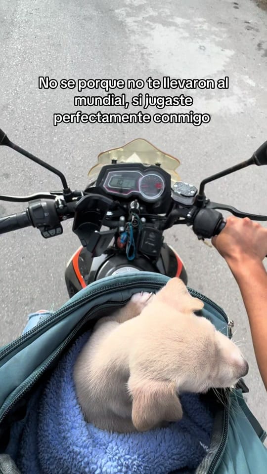 Post 3 by El Agus 🤠 on TikTok (video)
