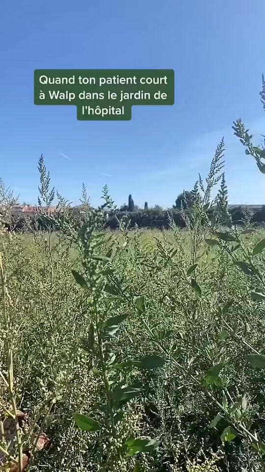 Post 10 by Lolo le soignant 🏥 on TikTok (video)