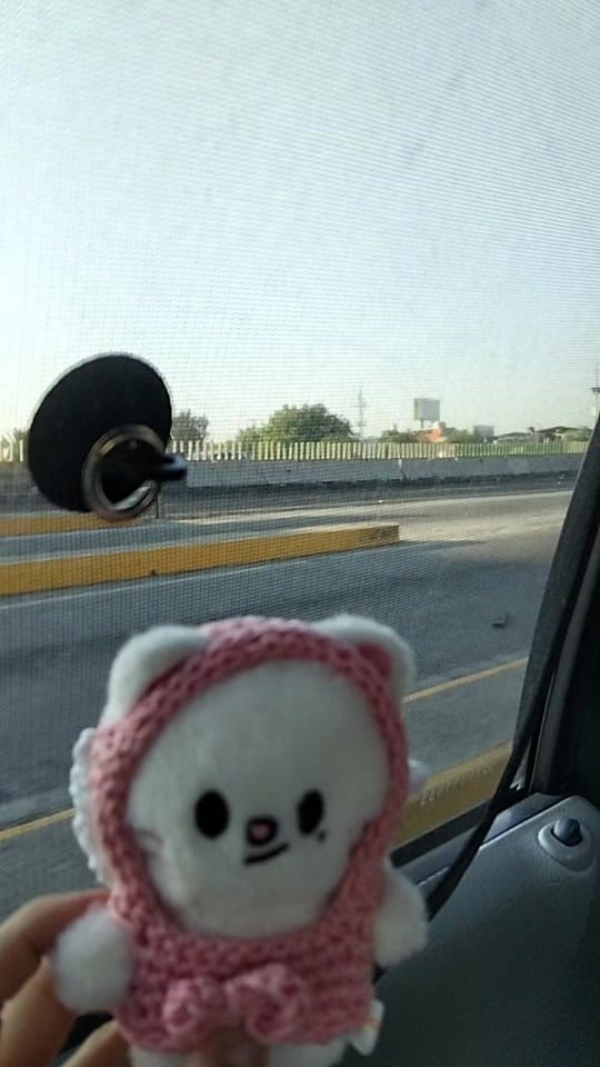 Post 3 by GoSkzoo on TikTok (video)