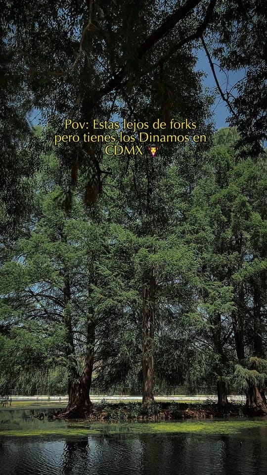 Post 2 by Oscar Ram on TikTok (video)