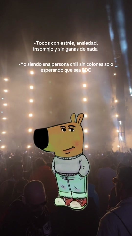 Post 1 by FestivalNetwork on TikTok (video)