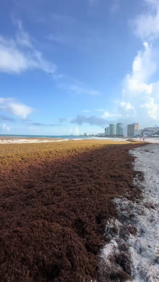 Post 4 by Cancun.sky on TikTok (video)
