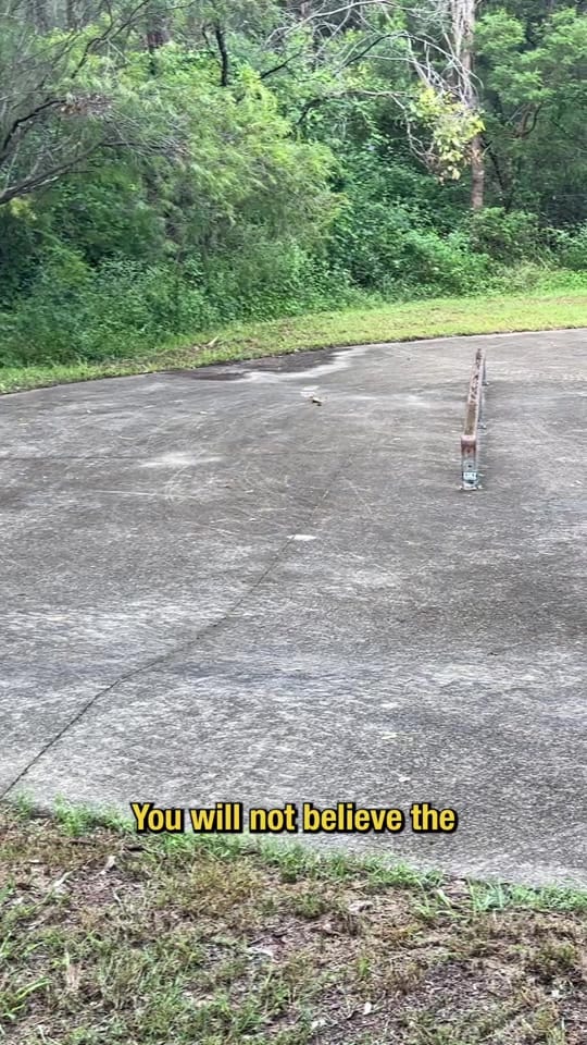 Post 6 by Leon Paxton on TikTok (video)